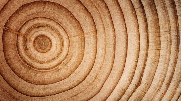 Heritage through wood grain