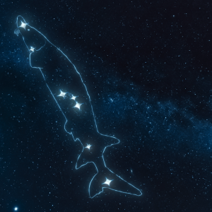 Wilfred Buck’s Star Stories