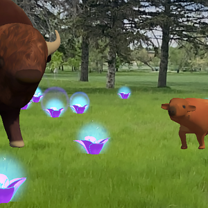 Buffalo-Futurism-Still300 1